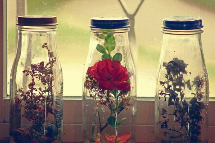 Квіти у пляшці - Декор пляшок своїми руками